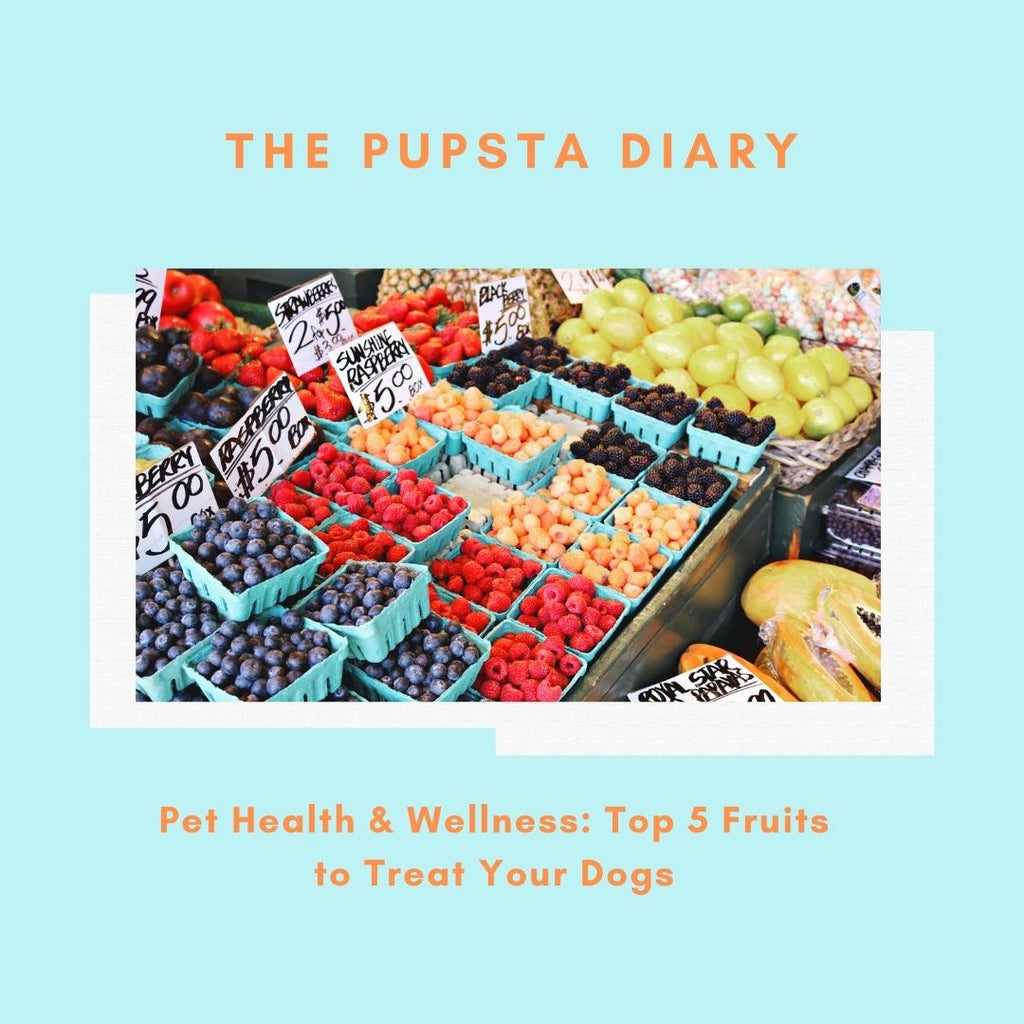 Top 5 Fruits to Treat Your Dogs