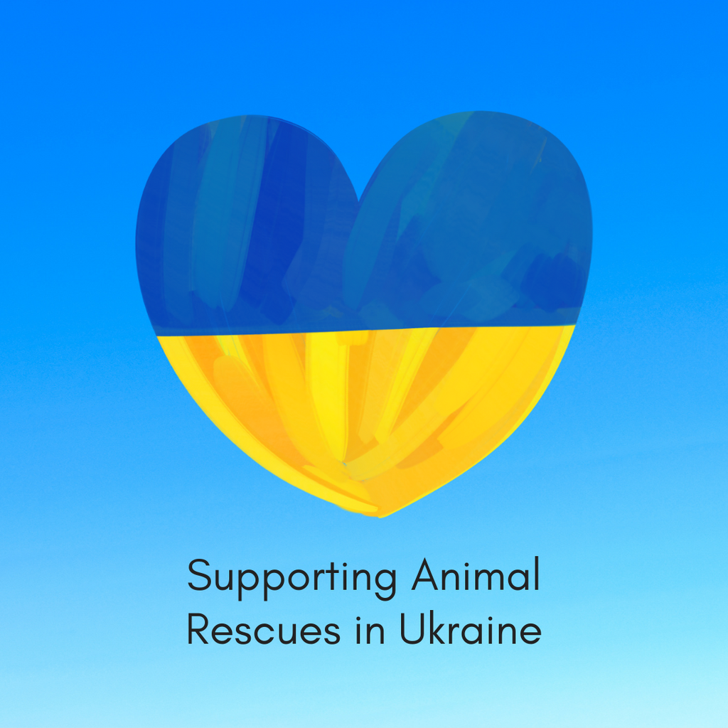 The Pupsta Diary Blog: Supporting Animal and Dog Rescues in Ukraine. 