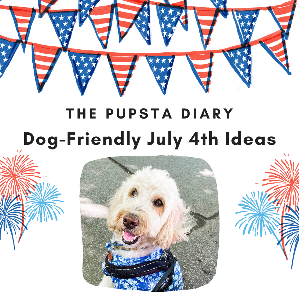 Dog-Friendly July 4th Ideas
