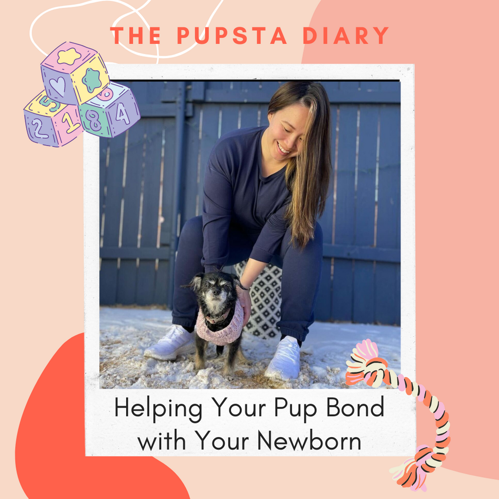 Helping Your Pup Bond with your Newborn